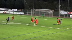 Quatre victòries i deu medalles a natació i patinatge