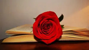 El poema de Sant Jordi - Una Corrida de toros en el fons del mar
