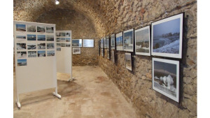 Visita a l'Alfolí en el marc de les JJEE del Patrimoni