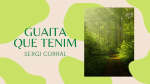 Guaita de tenim - La truita de patates
