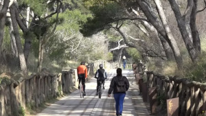 Obres de millora al Passeig Empúries