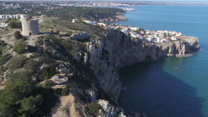 Sis de març,  Montgrinada solidària