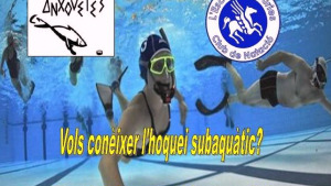 Més jugadors per l'equip de les Anxovetes