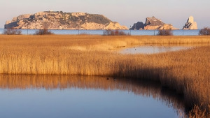 Setmana del Parc Natural del Montgrí, les Illes Medes i el Baix Ter