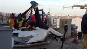 Captures escasses en la tornada de les teranyines a la feina