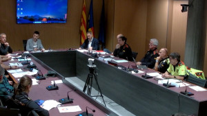 Baixen un 14,3% les infraccions penals a l'Escala, però augmenten les de trànsit