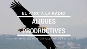 El Parc a la Ràdio - Àligues productives