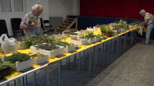 Quarta edició del taller i concurs de ratafia 