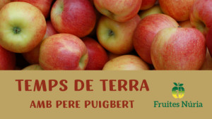 Temps de terra - Plàntans