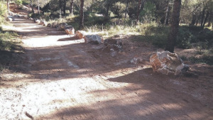 Recuperació de les Sorreres de Can Català i el Camí dels termes