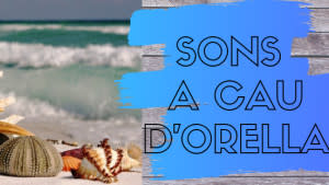 Sons A Cau d'Orella 19/01/20