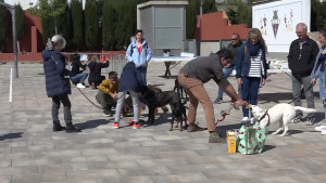 L'Anxova Peluda celebra el seu desè aniversari
