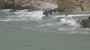 La pujada del nivell del mar posa en perill la primera línia de costa