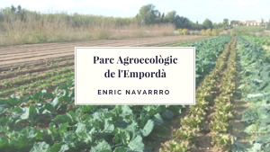 La Tarda - Enric Navarro