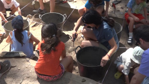 Infants participen en la simulació d'una excavació amb motiu de les Jornades Europees d'Arqueologia