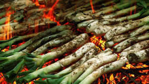 Comença la temporada de calçots
