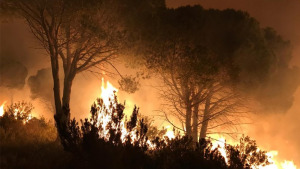 Comença la prohibició de fer foc al bosc