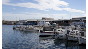 La confraria de pescadors es planteja tancar portes