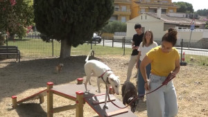 El Camp dels Pilans estrena una àrea d'esbarjo per a gossos