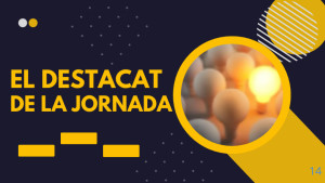 El destacat de la jornada - Fòrum de la Mediterrània