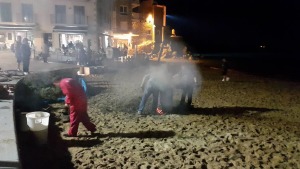 Baixa la venda de castanyes del CER