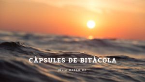 Càpsules de Bitàcola - Antonio Amato Ensemble
