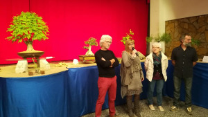 14ena  Mostra de Bonsais del CER