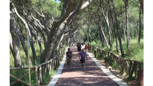 300 mil euros per millorar el passeig d'Empúries