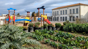 La renaturalització dels patis de l'escola Empúries, aquest estiu