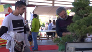 Reunió preparatòria de la Fira d'entitats 