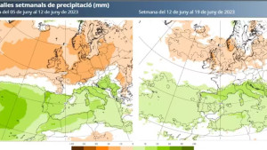 Una primavera molt eixuta, agreuja la sequera