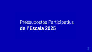 58 propostes continuen als pressupostos participatius