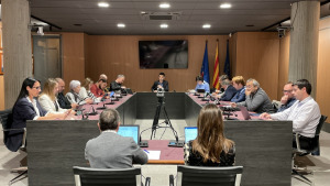 Ple ordinari de març
