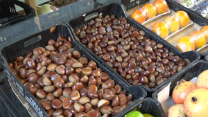 Producció escassa de castanyes i moniatos, però mateixa qualitat i preu