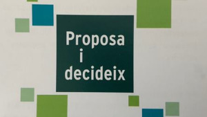 Votacions dels pressupostos participatius