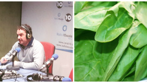 Dr. Productes - Espinacs