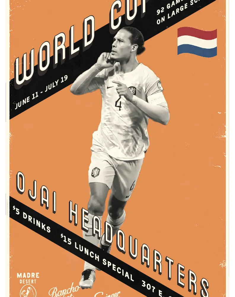 Netherlands vs Japan