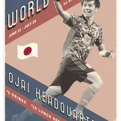 Netherlands vs Japan