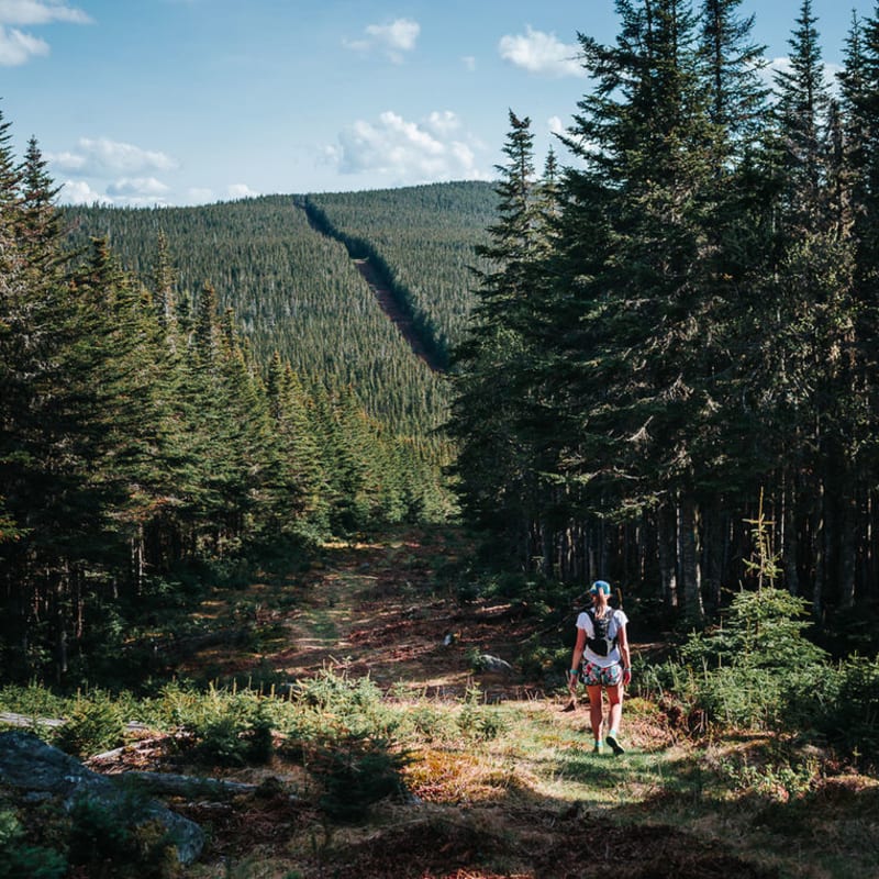 Ultra Trail du Mont Gosford photo 5