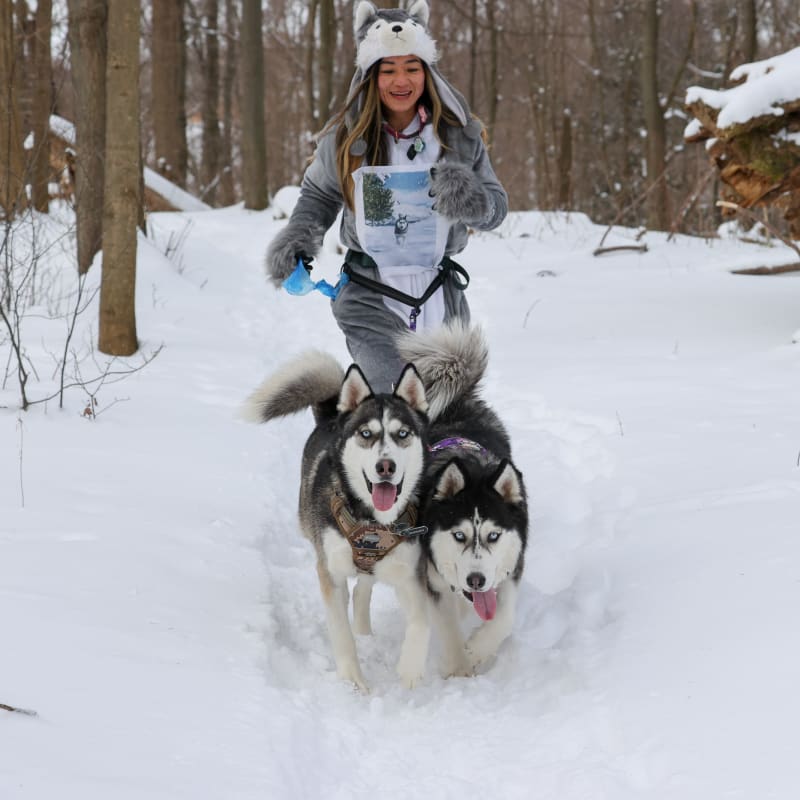 Polar Paws photo 3