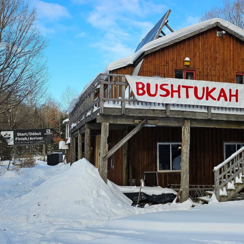 Snowshoe Backyard Ultra photo 5