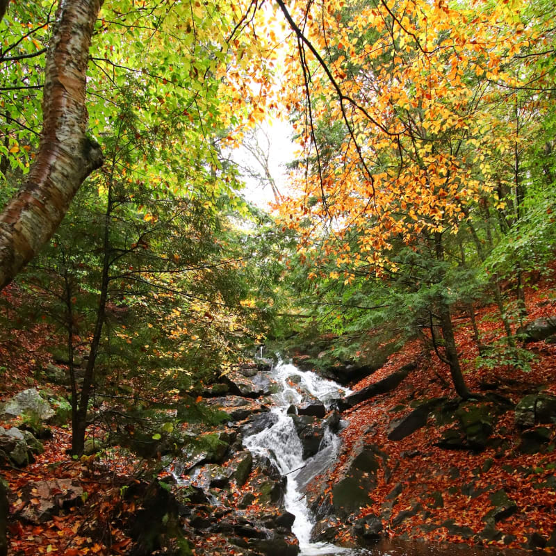 Gatineau Park Ultra [Test] photo 4