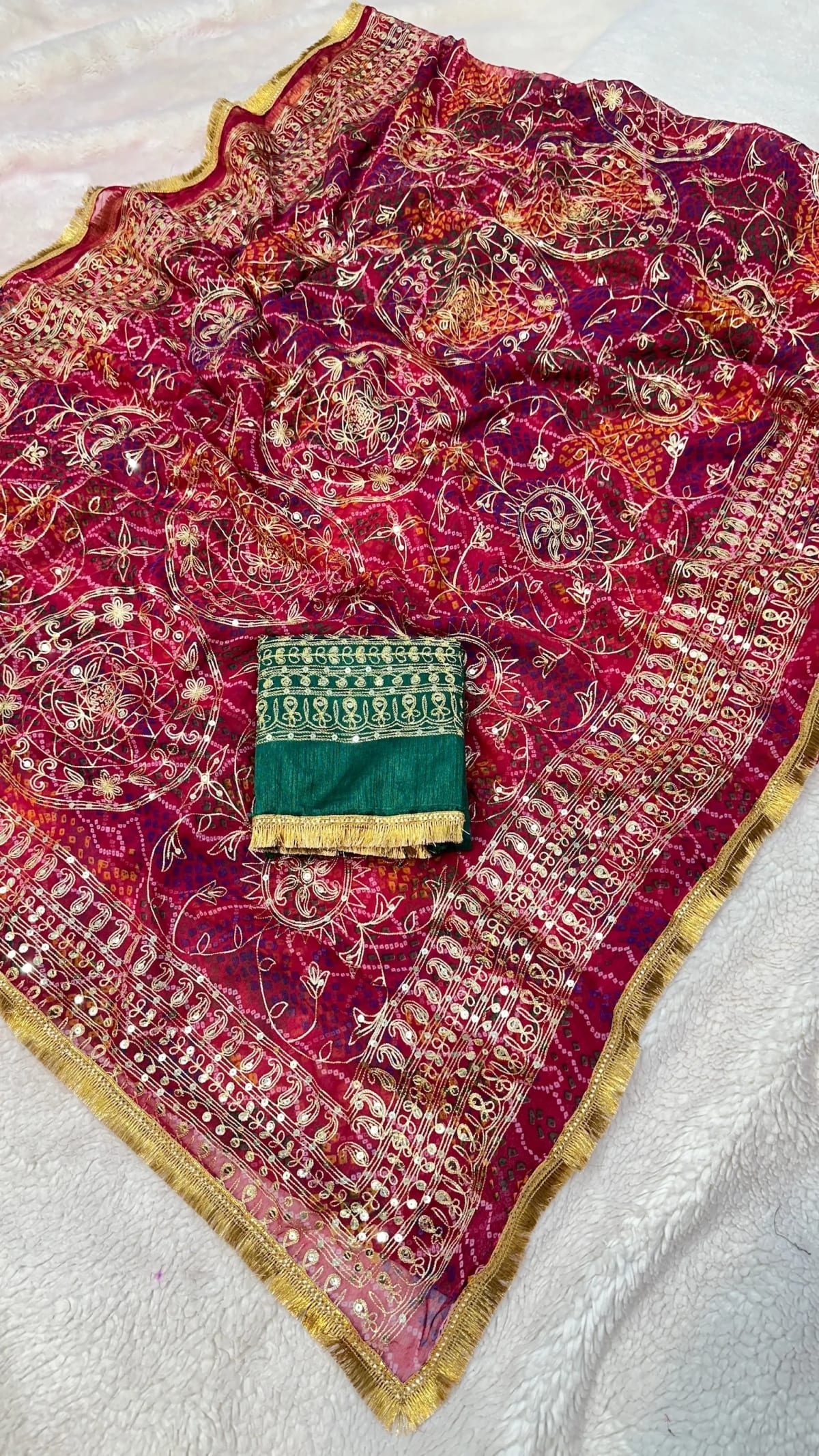 Chundri Saree in Chiffon Fabric with Rajputi Resham Aari Zari Work