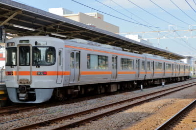 313 series