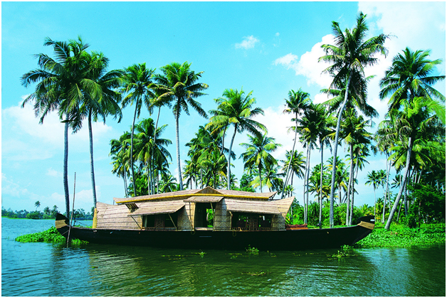 Boating in Kumarakom Backwater Lake