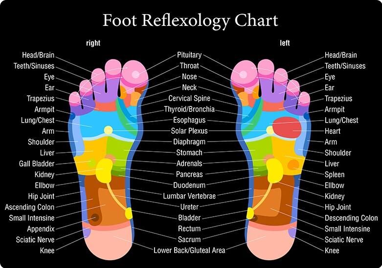 foot reflexology chart foot reflexology chart