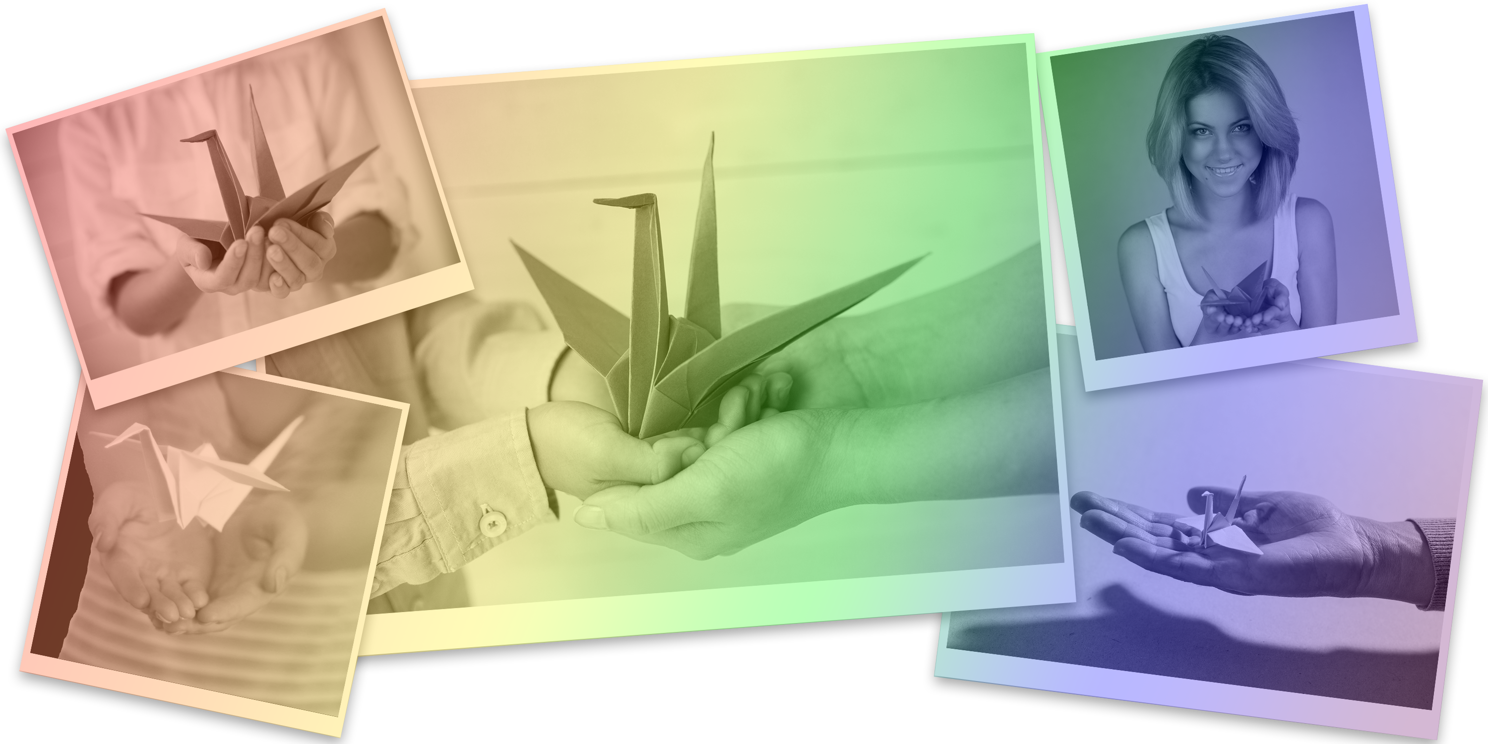 Site-Header-NoBack.png
