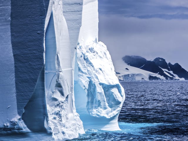 Una odisea de hielo y m&uacute;sica: explorando las Malvinas y la Ant&aacute;rtida con Paul Kelly y el Ocean Endeavour