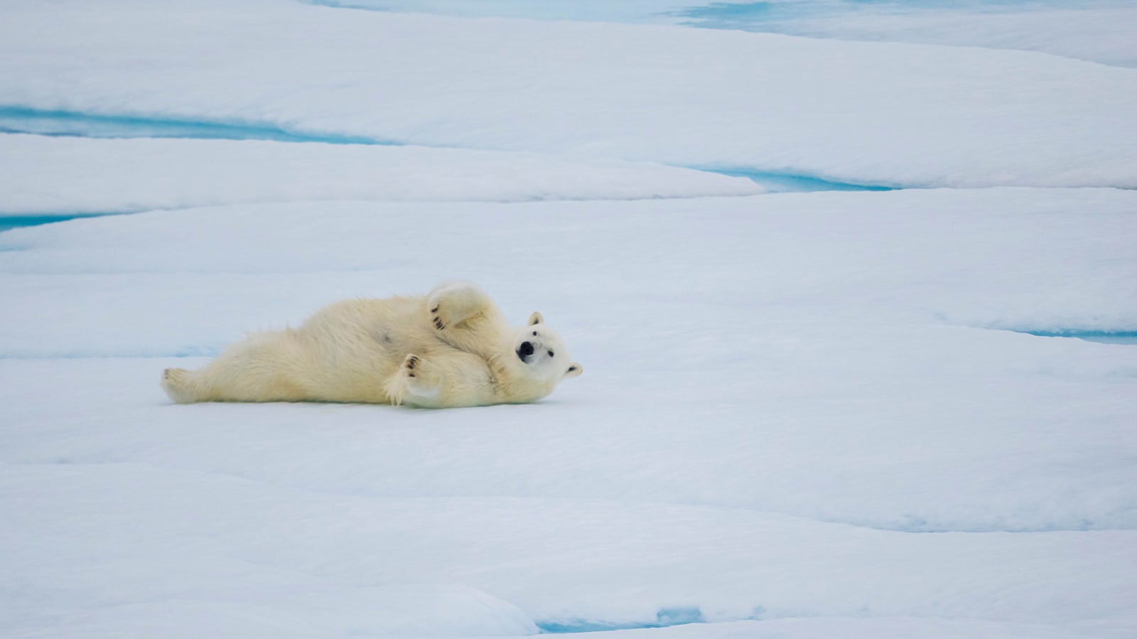 Honeymoon Travel Ideas