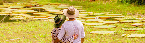 amazon river tour